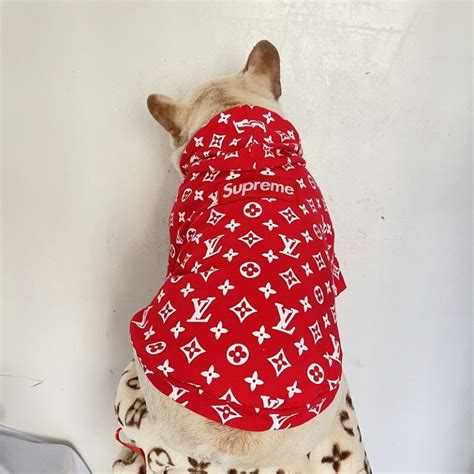 louis vuitton dog clothes